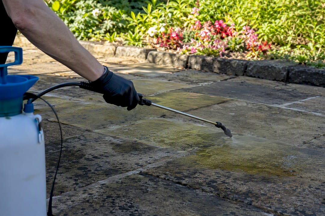 Applying patio biocide spray on black spots