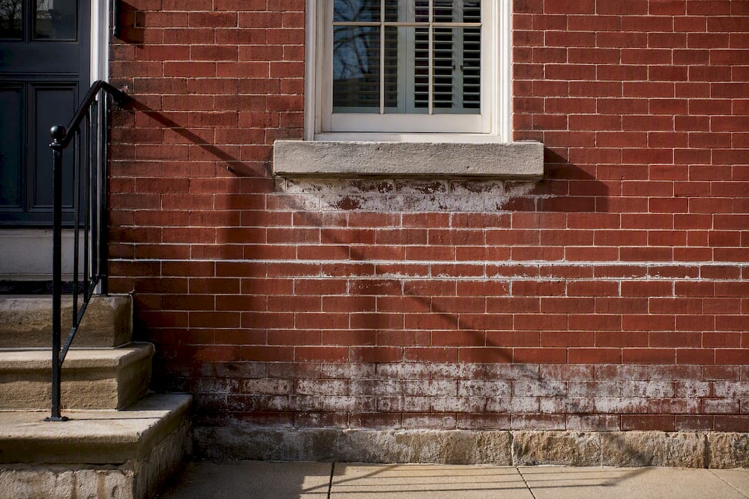 Different efflorescence patterns across brickwork